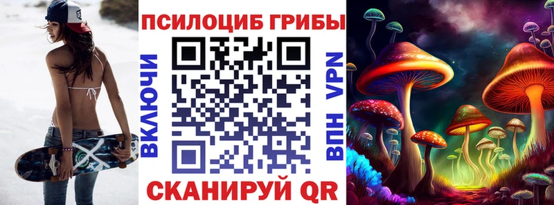 Купить  Заозёрск  Галлюциногенные грибы Magic Shrooms 