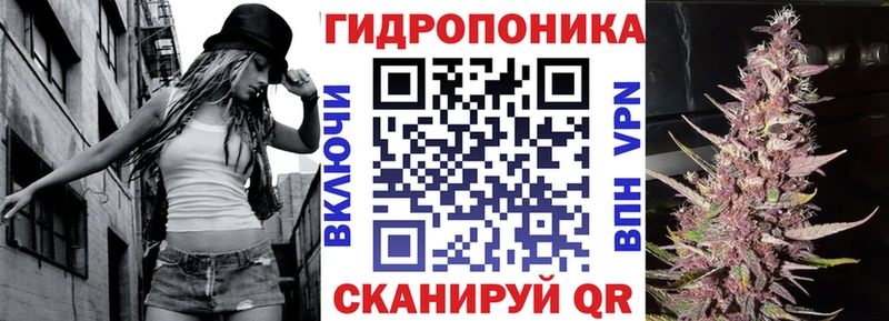 Конопля SATIVA & INDICA  Купить закладки  Заозёрск 